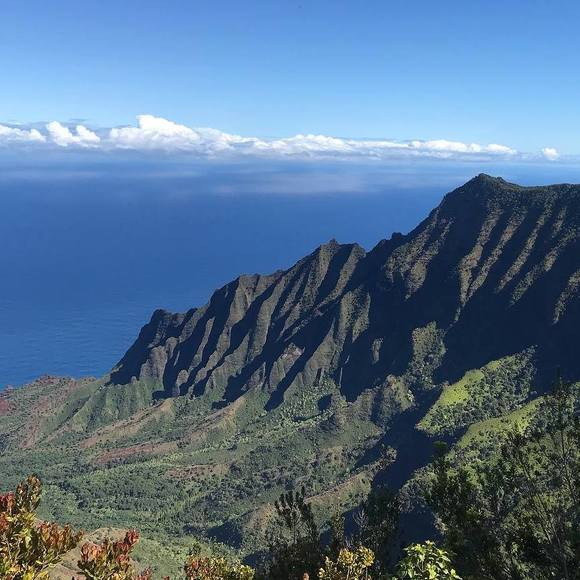 Meet your Posher, Laura - Picture 1 of 1